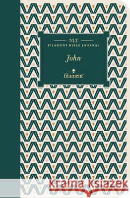 NLT Filament Bible Journal: John (Softcover) Tyndale 9781496458575 Tyndale House Publishers