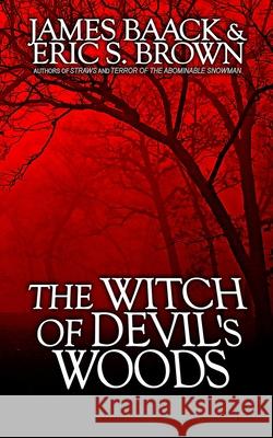The Witch of Devil's Woods Eric S. Brown James Baack 9781499711790 Createspace Independent Publishing Platform