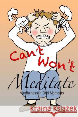 Can't Meditate, Won't Meditate: Mindfulness in Odd Moments Sue Breton 9781500741778 Createspace