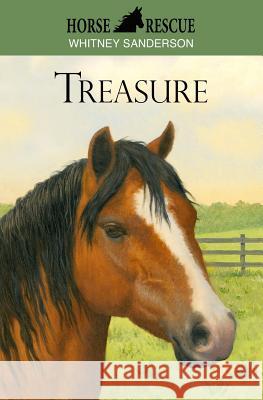 Horse Rescue: Treasure Whitney Sanderson 9781503054066