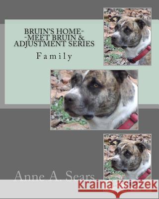 Bruin's Home--Meet Bruin and Adjustment Series: Family Anne a. Sears 9781505517552 Createspace