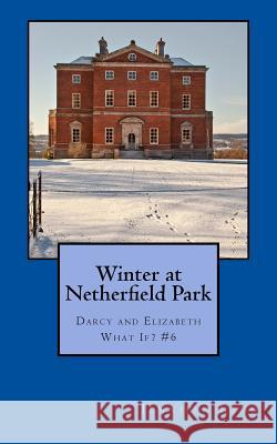 Winter at Netherfield Park: Darcy and Elizabeth What If? #6 Jennifer Lang 9781507802793
