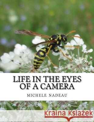 Life in the eyes of a camera: no one is perfect Carter, Angel M. 9781517073640 Createspace