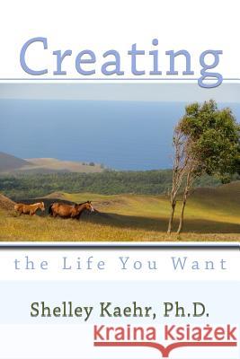 Creating the Life You Want Shelley Kaehr 9781517151683 Createspace