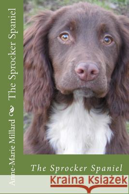 The Sprocker Spaniel - extended edition: Everything you need to know from pup to dog Millard, Anne-Marie 9781519507211 Createspace Independent Publishing Platform