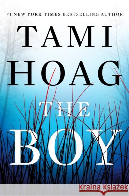 The Boy: A Novel Hoag, Tami 9781524742119
