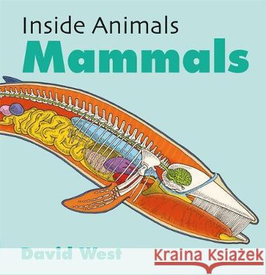 Inside Animals: Mammals David West 9781526310903