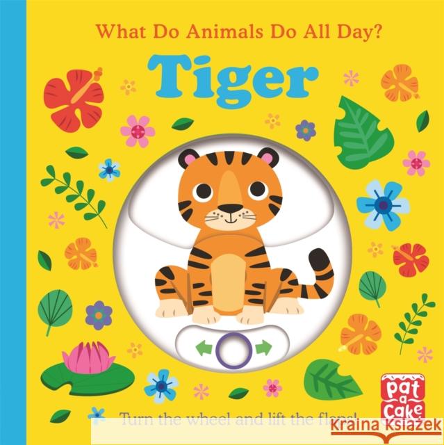 What Do Animals Do All Day?: Tiger: Lift the Flap Board Book Pat-a-Cake 9781526383167