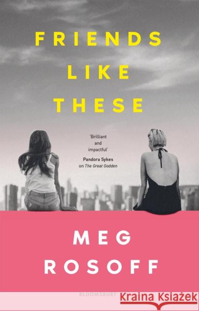 Friends Like These: 'This summer's must-read' - The Times Meg Rosoff 9781526646118