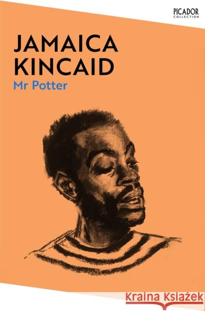 Mr Potter Jamaica Kincaid 9781529076684