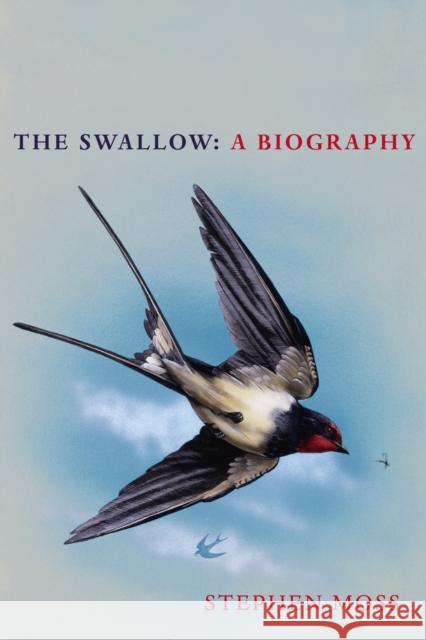 The Swallow: A Biography (Shortlisted for the Richard Jefferies Society and White Horse Bookshop Literary Award) Stephen Moss 9781529110265