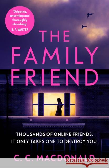 The Family Friend: the gripping and twist-filled thriller C. C. MacDonald 9781529111378 Vintage Publishing