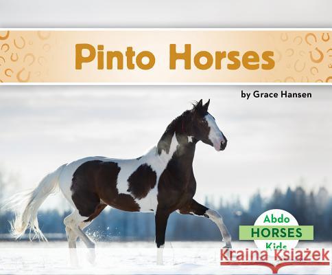 Pinto Horses Grace Hansen 9781532185670