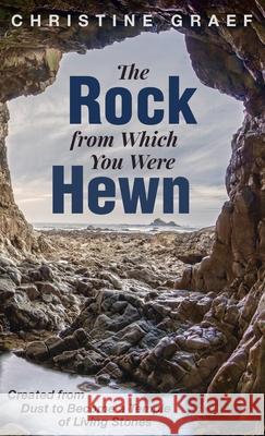 The Rock from Which You Were Hewn Christine Graef 9781532690525
