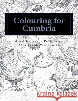 Colouring for Cumbria: Raising money for people affected by the floods in Cumbria and Northern England. Riddell, Chris 9781532786877