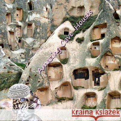Amazing Cave-Houses Naira &. Richard Matevosyan 9781535074803