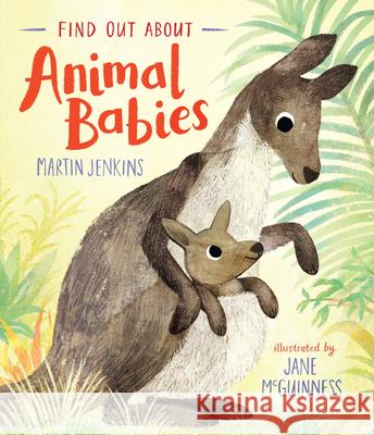 Find Out about Animal Babies Martin Jenkins Jane McGuinness 9781536220469