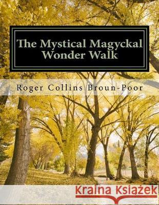 The Mystical Magyckal Wonder Walk: A Decca Dimensional Coloring Story Book Roger Collins Poor 9781537494968