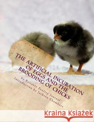 The Artificial Incubation of Eggs and the Brooding of Chicks Reliable Poultry Journal Jackson Chambers 9781537709079
