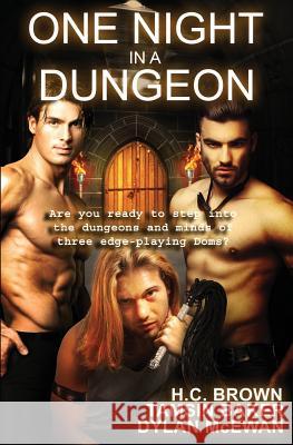 One Night in a Dungeon: Anthology H. C. Brown Tamsin Baker Dylan McEwan 9781537736211