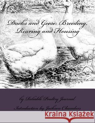 Ducks and Geese: Breeding, Rearing and Housing Reliable Poultry Journal Jackson Chambers 9781539696124