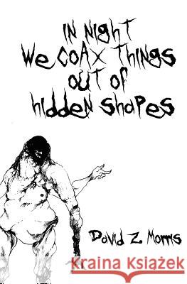in night we coax things out of hidden shapes David Z. Morris 9781539935421