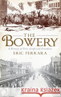 The Bowery: A History of Grit, Graft and Grandeur Eric Ferrara 9781540229809