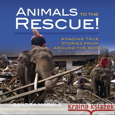 Animals to the Rescue!: Amazing True Stories from Around the World Sandra Markle 9781541581227