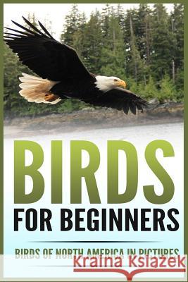 Birds for Beginners: Including 97 Birds of North America in Gorgeous Pictures Pippa Cloverdale 9781542875943 Createspace Independent Publishing Platform