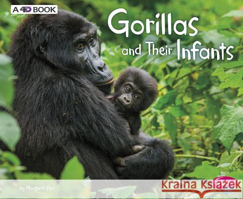 Gorillas and Their Infants: A 4D Book Margaret Hall 9781543508369 Capstone Press