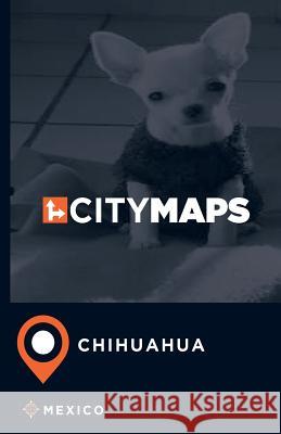 City Maps Chihuahua Mexico James McFee 9781544977270