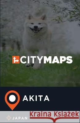 City Maps Akita Japan James McFee 9781545169384