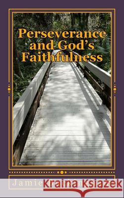 Perseverance and God's Faithfulness Jamie Buckingham Bruce Buckingham 9781546950431