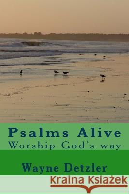 Psalms--A Devotional Commentary: Comfort for painful times Detzler, Wayne 9781548385880 Createspace Independent Publishing Platform