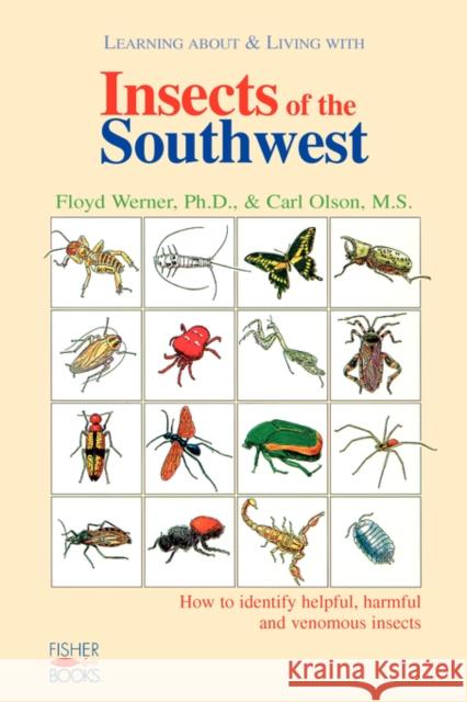 Insects of the Southwest: How to Identify Helpful, Harmful, and Venomous Insects Werner, Floyd 9781555610609 Fisher Books