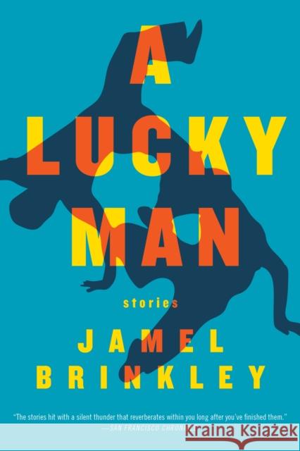 A Lucky Man: Stories Brinkley, Jamel 9781555978433