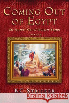 Coming Out of Egypt K. C. Stricker 9781556350870 Resource Publications (OR)