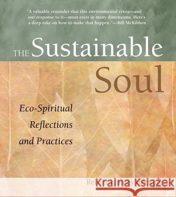 Sustainable Soul: Eco-Spiritual Reflections and Practices Rebecca James Hecking 9781558966055