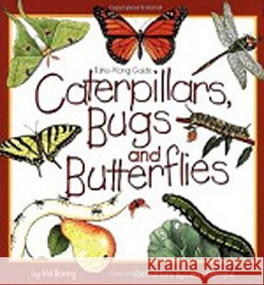 Caterpillars, Bugs and Butterflies: Take-Along Guide Boring, Mel 9781559716741 Northword Press