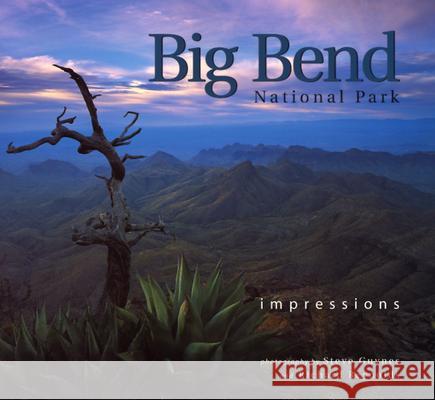 Big Bend National Park: Impressions Steve Guynes Richard Reynolds 9781560372868 Farcountry Press