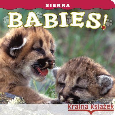 Sierra Babies! Wendy Shattil Bob Rozinski Barbara Magnuson 9781560375579 Farcountry Press