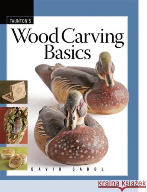 Wood Carving Basics David Sabol 9781561588886 Taunton Press