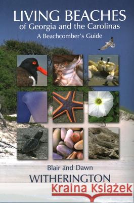 Living Beaches of Georgia and the Carolinas: A Beachcomber's Guide  9781561644902 Pineapple Press
