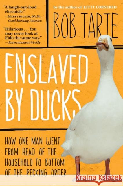 Enslaved by Ducks Bob Tarte 9781565124509