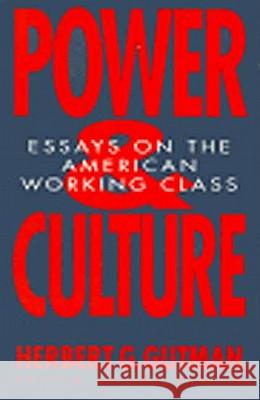Power and Culture: Essays on the American Working Class Gutman, Herbert George 9781565840102 New Press