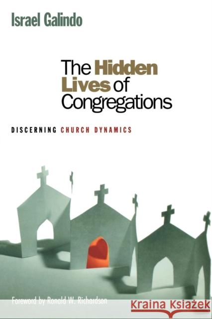 The Hidden Lives of Congregations: Discerning Church Dynamics Galindo, Israel 9781566993074 Rowman & Littlefield Publishers