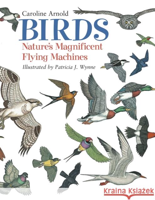 Birds: Nature's Magnificent Flying Machines Caroline Arnold Patricia J. Wynne 9781570915727