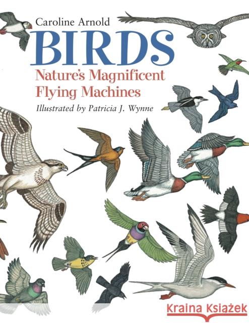 Birds: Nature's Magnificent Flying Machines Caroline Arnold Patricia J. Wynne 9781570915727 Charlesbridge Publishing