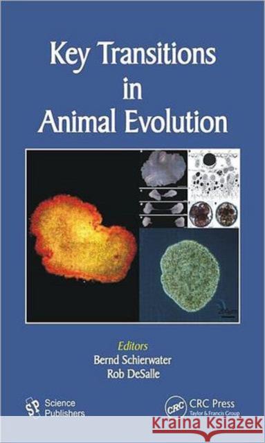 Key Transitions in Animal Evolution Rob Desalle Bernd Schierwater  9781578086955