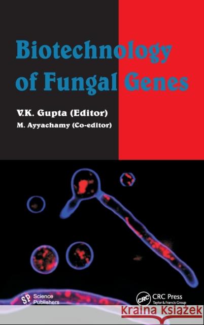 Biotechnology of Fungal Genes V. K. Gupta M. Ayyachamy  9781578087877 Science Publishers,U.S.